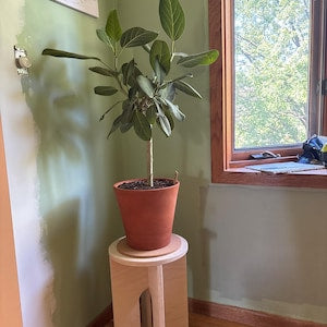 Wooden Stool. Modern Side Table